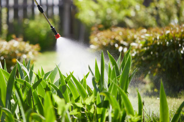24/7 Emergency Ant Control experts in Columbus, NM