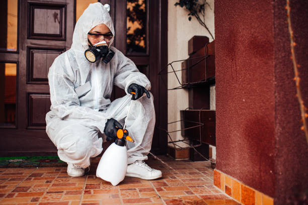 Reliable Ant Control contractor in Columbus, NM by Nex Pest Control